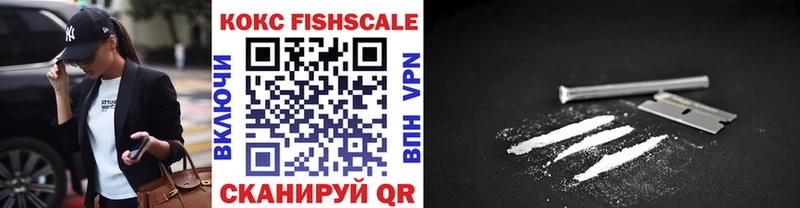COCAIN Fish Scale  Купить где  Александровск 