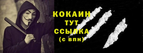 дмт Белокуриха