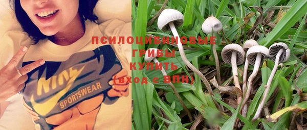 PSILOCYBIN Беломорск