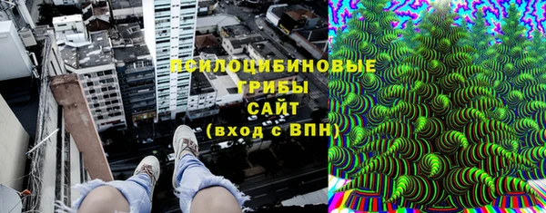 PSILOCYBIN Беломорск