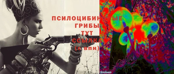 дмт Белокуриха