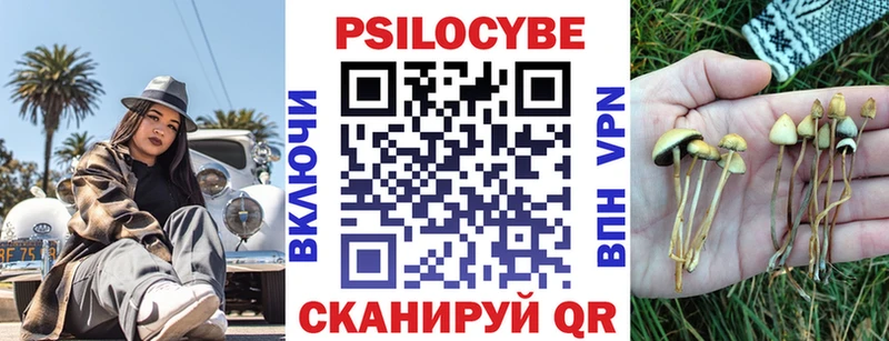 Галлюциногенные грибы GOLDEN TEACHER  Купить  Александровск 